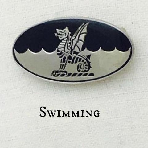 Badge - Swimming
